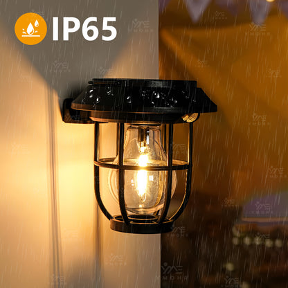 LED Outdoor Solar Pathway Lights: IP65 Waterproof Dusk to Dawn
