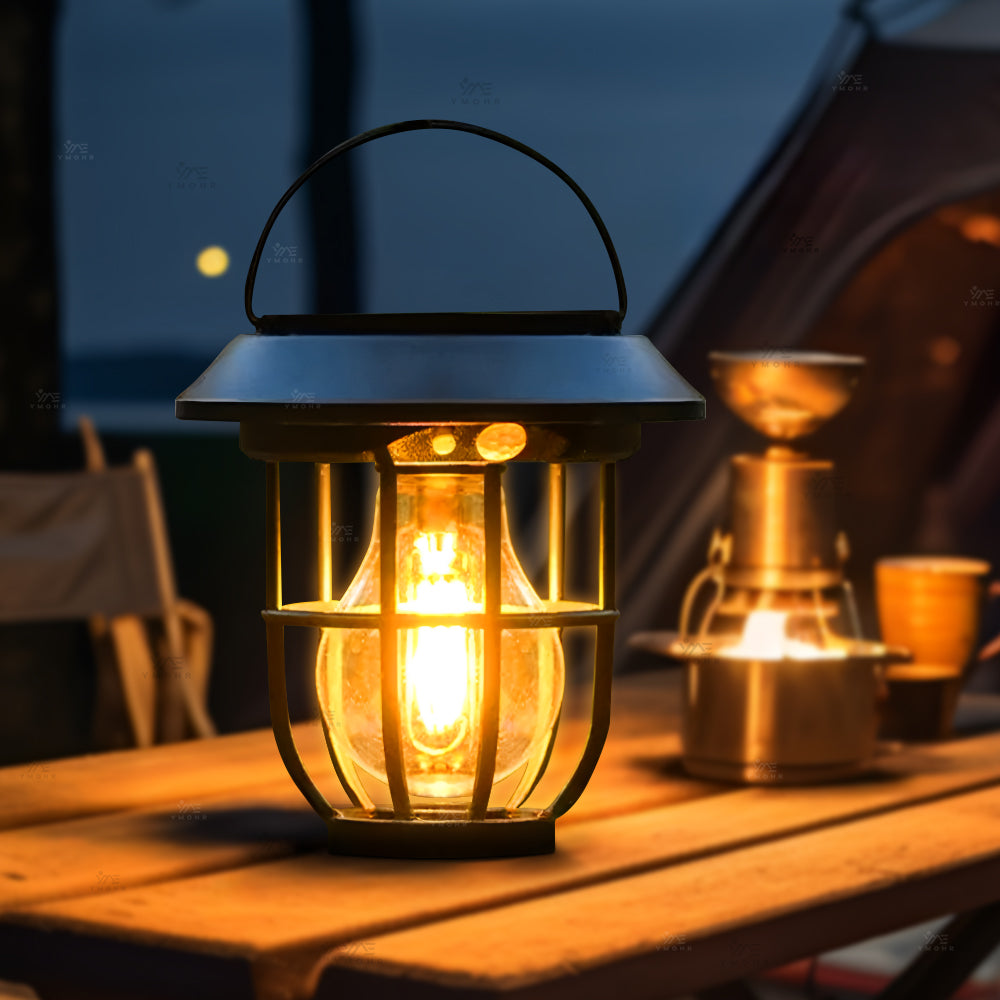 LED Outdoor Solar Pathway Lights: IP65 Waterproof Dusk to Dawn