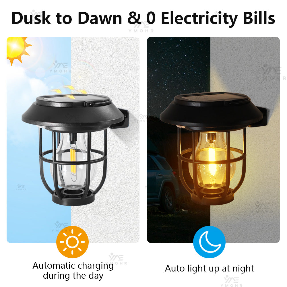 LED Outdoor Solar Pathway Lights: IP65 Waterproof Dusk to Dawn